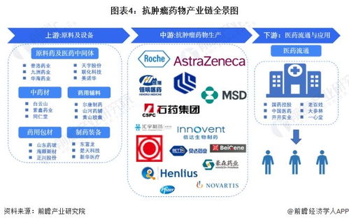 预见2024 2024年中国抗肿瘤药物行业全景图谱 附市场规模 竞争格局和发展前景等