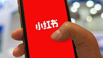 小红书被安卓应用市场下架,uber 史上最大裁员